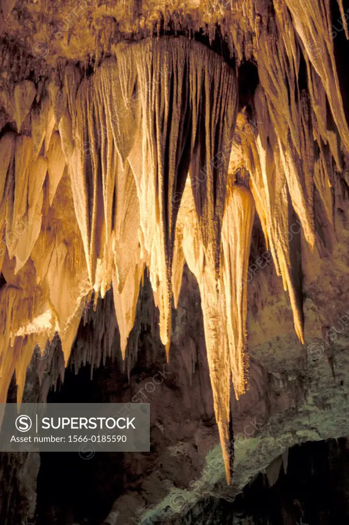 Carlsbad Caverns National Park. New Mexico. USA