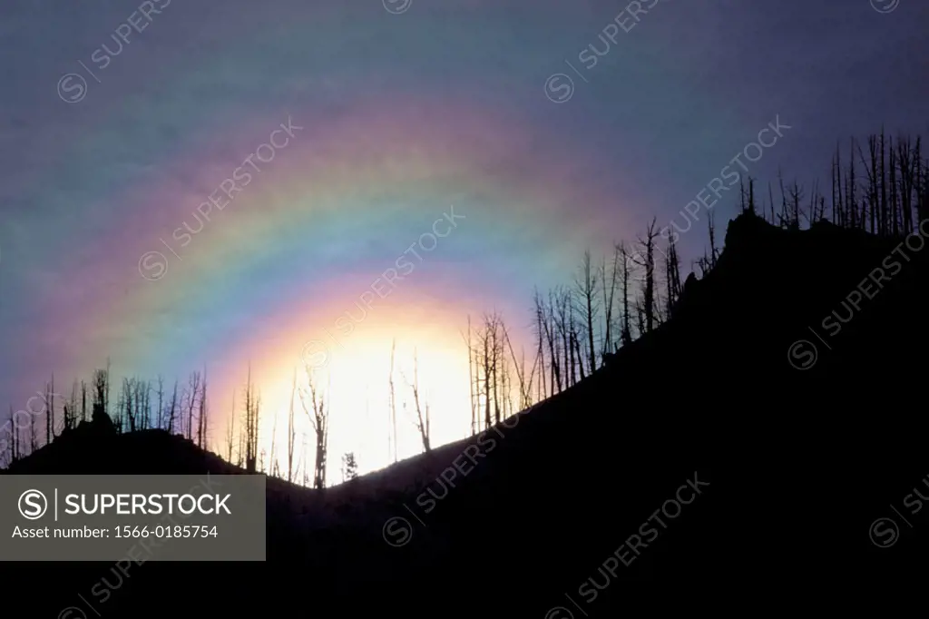 Sunrise, clouds and iridescence. Yellowstone National Park. Wyoming, USA