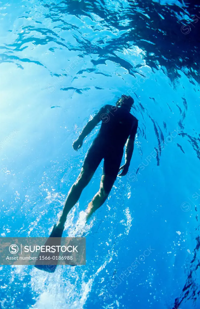Diver swims to the surface