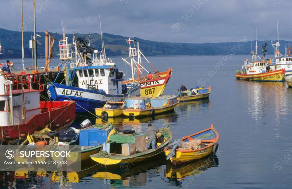 Ancud harbour. Chiloé island. Chile.
