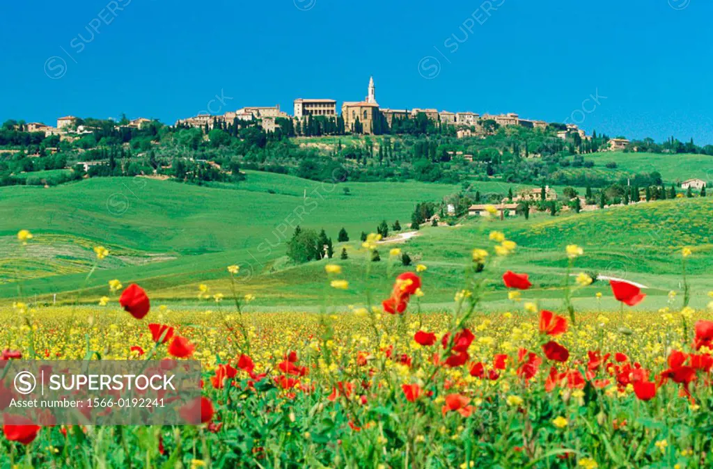 View of Pienza (Unesco World Heritage) with rape and poppies field. Val d´Orcia. Siena province. Tuscany. Italy.