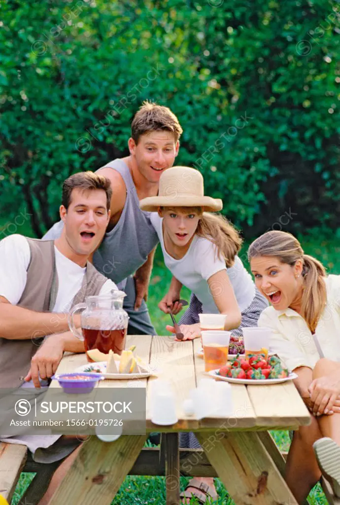 two couples having fun at a picnic table