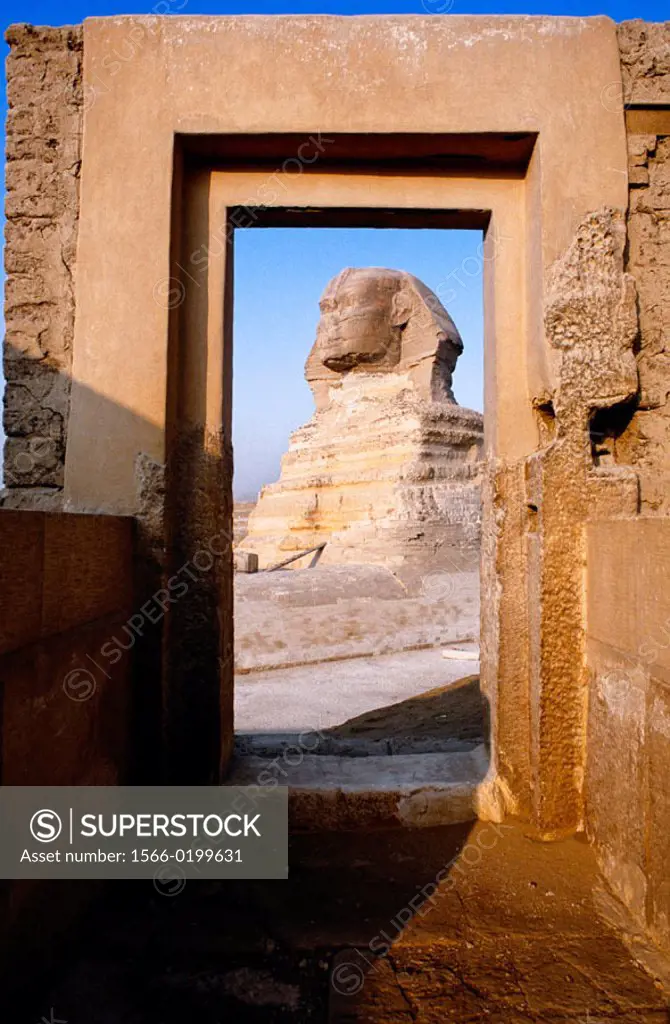 The sphinx in the pyramids area. Gizeh (Cairo suburbs). Egypt