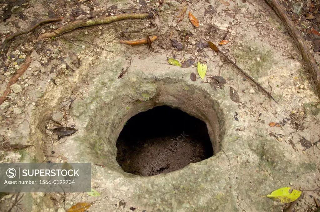 Hole of an underground maya watertank. Maya archeological site of Tikal . Guatemala