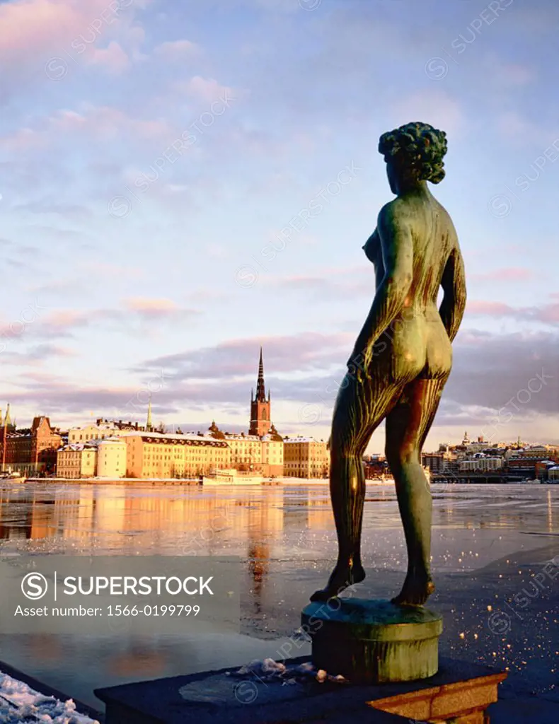 RiddarHolmen island view from the City Hall in winter. Statue au premier plan. Stockholm. Sweden