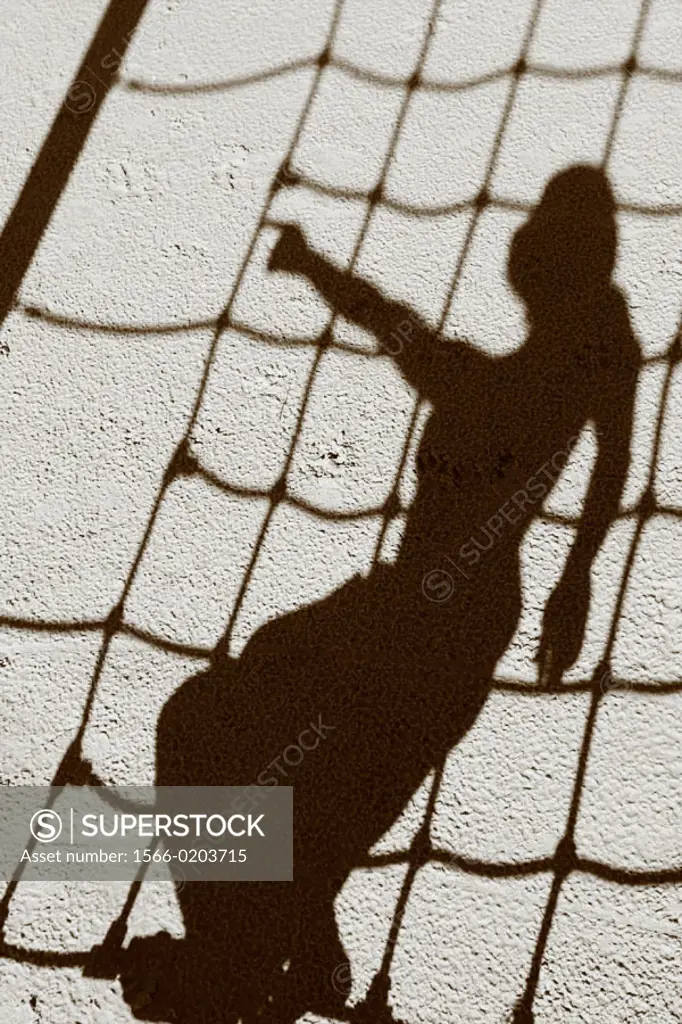 shadow net