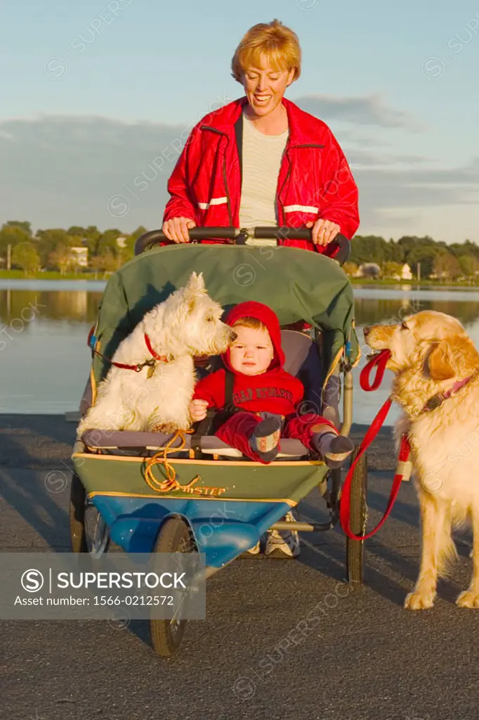 Mother with dog (holding her own lead) and 15 month old baby in stroller made for jogging