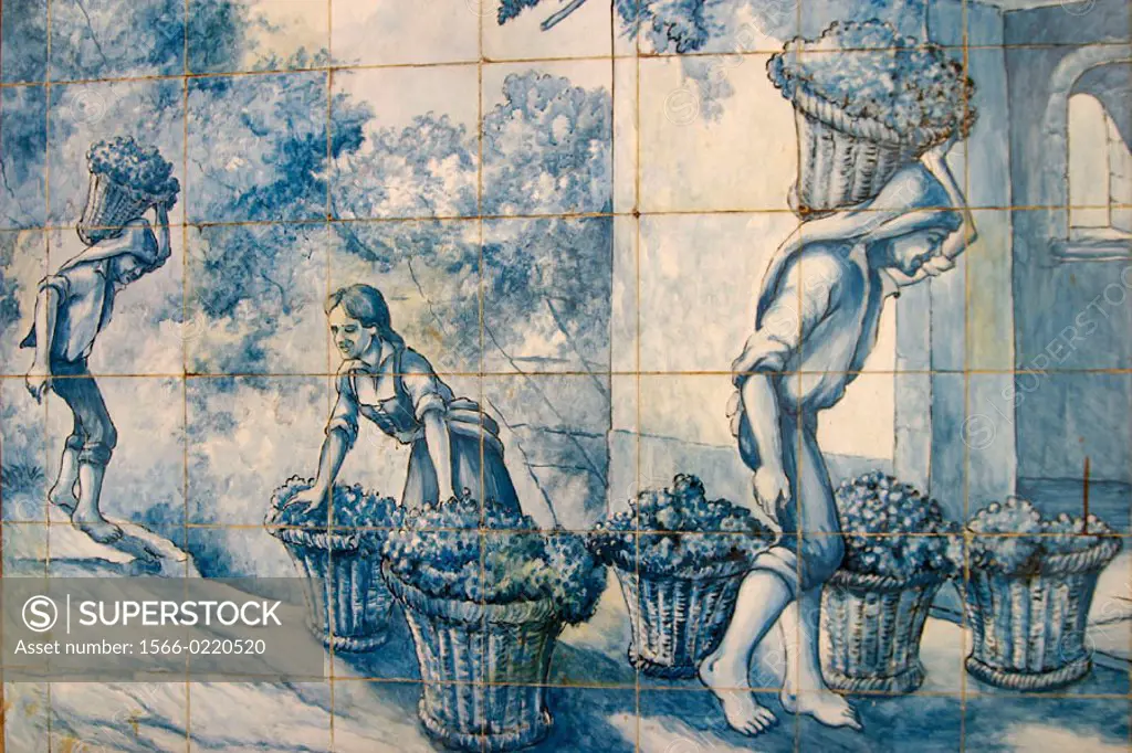 Grape harvest. Typical painted tiles. The old Blandy wine lodge. Funchal. Madeira. Portugal.