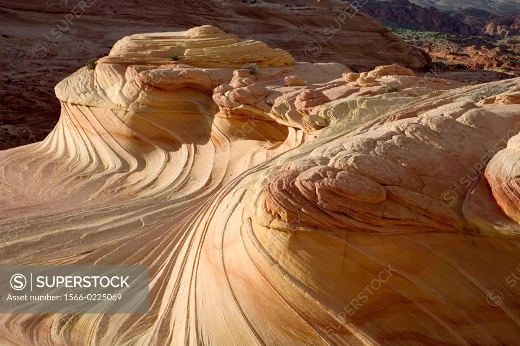The Swirl, sandstone formation. Paria Canyon Vermillion Cliffs Wilderness. Arizona. USA.