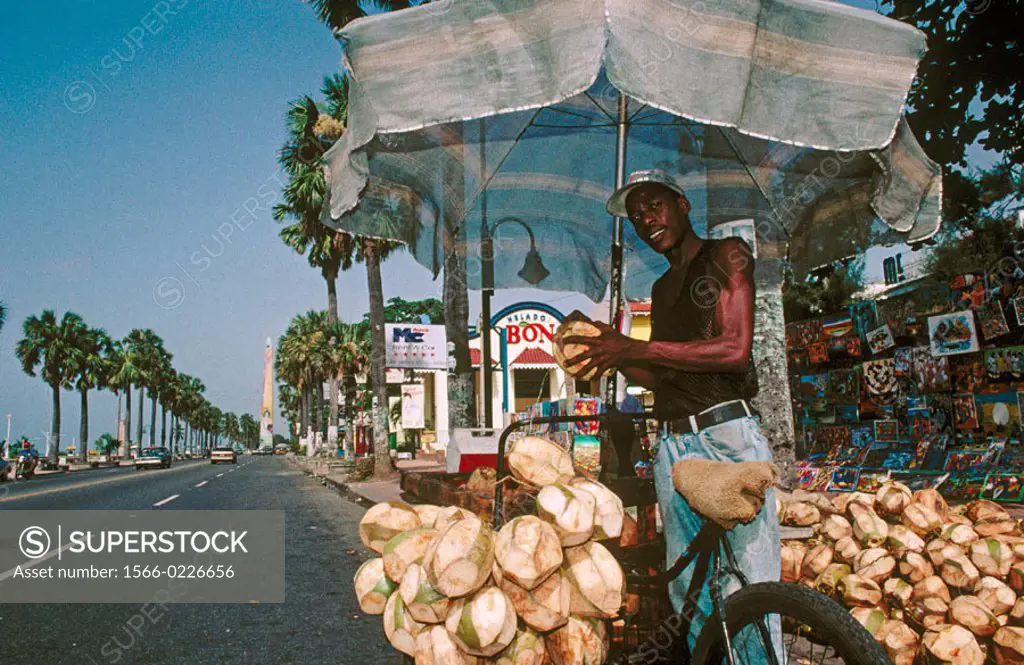 Coconuts seller on the waterfront, city of Santo Domingo. Dominican Republic, Spanish Caribbean