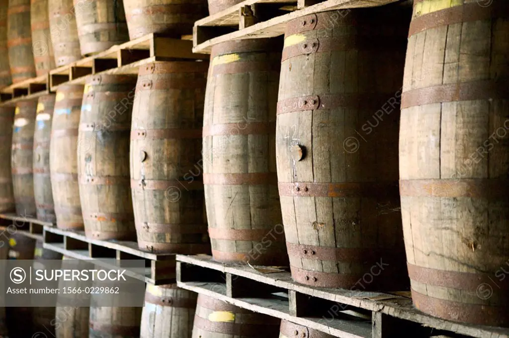 Bahamas, New Providence Island, Coral Harbour: Bacardi Rum Factory, Rum Aging Casks