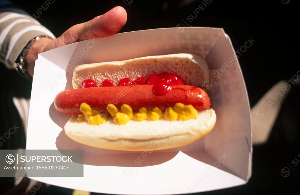 Hand holding a hot dog.