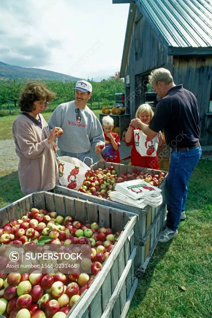 Family buying organic apples. New Hampshire, USA