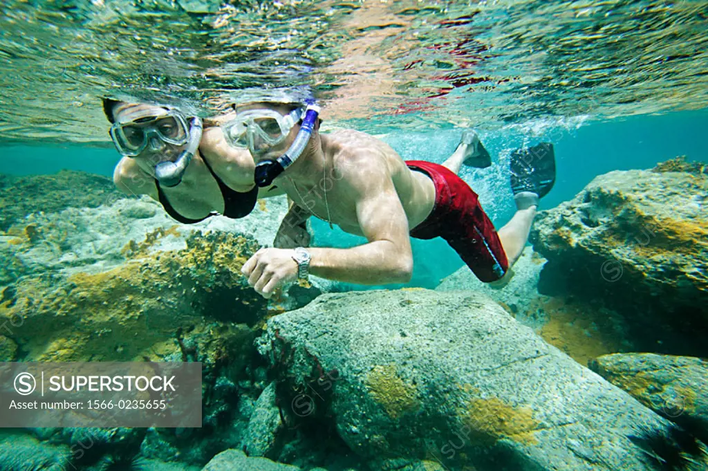 Couple snorkeling on Colombier Beach, St. Barts