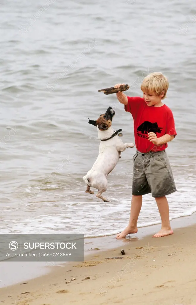 Boy and his dog at the beach