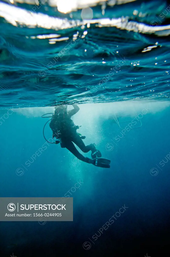 Man diving  in Key Largo, Florida. December 2004.