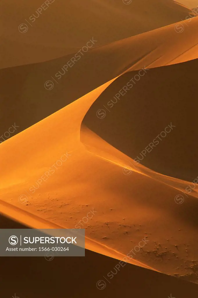 Namib Desert. Namibia