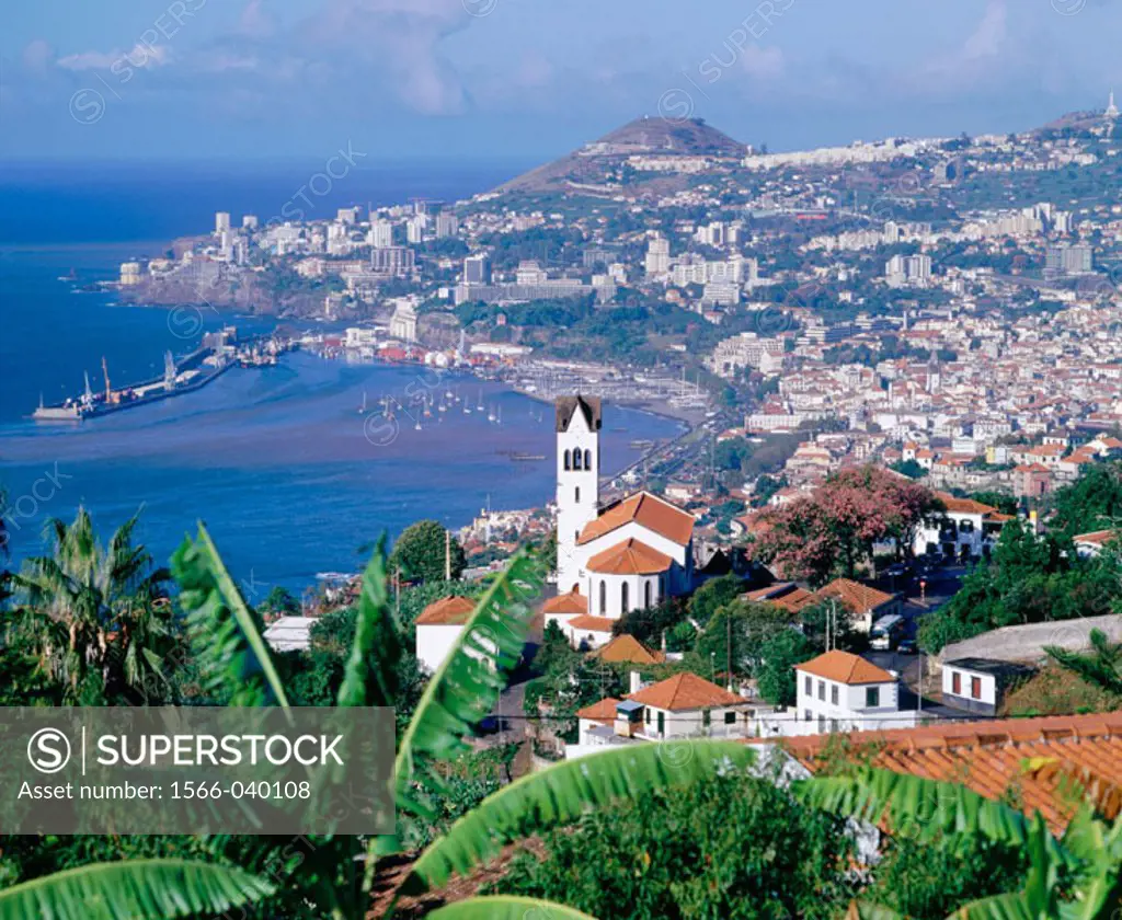 Funchal. Madeira Island. Portugal