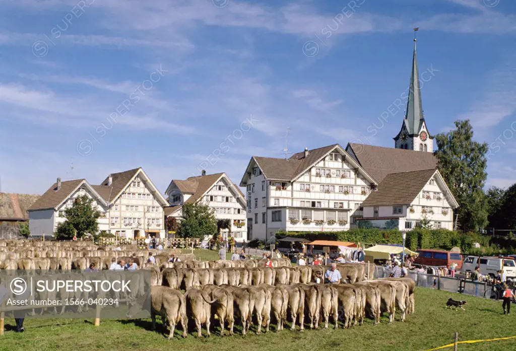 Cattle market. Stein. Appenzell. Switzerland