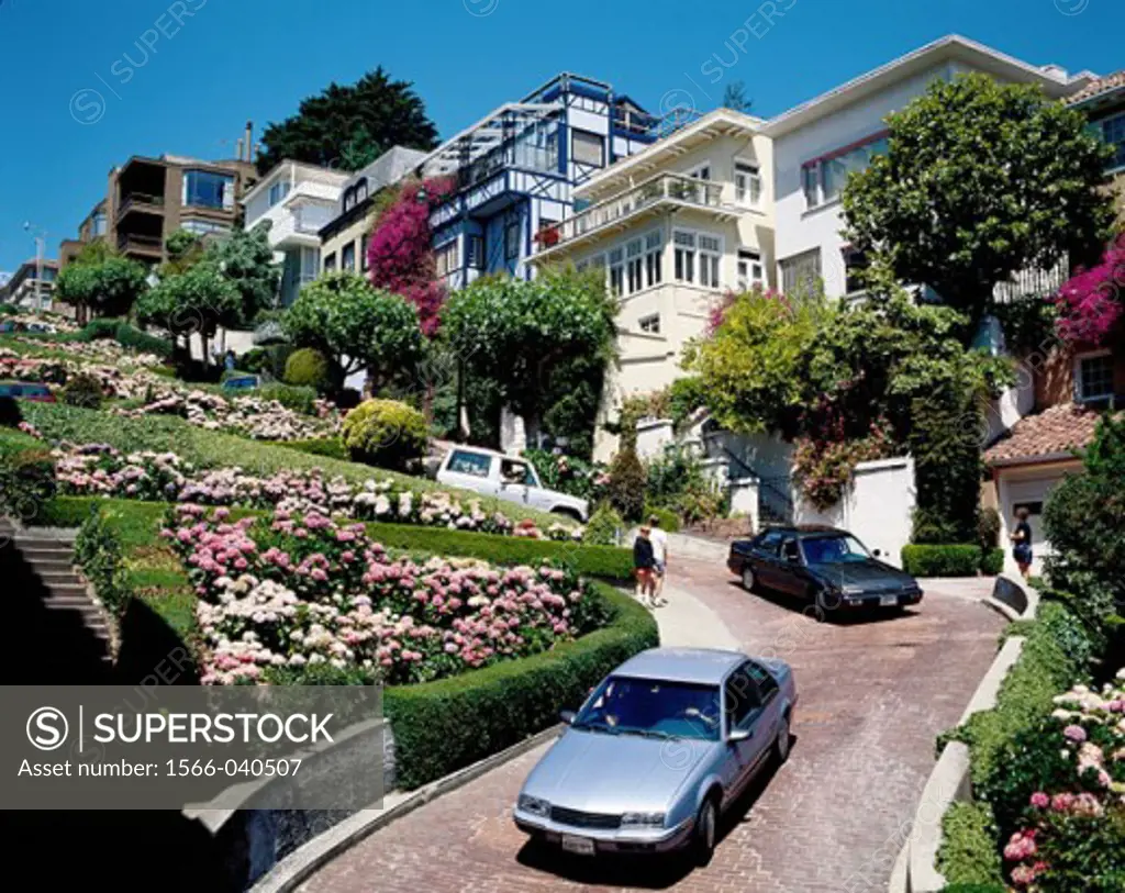 Lombard Street. San Francisco. California. USA