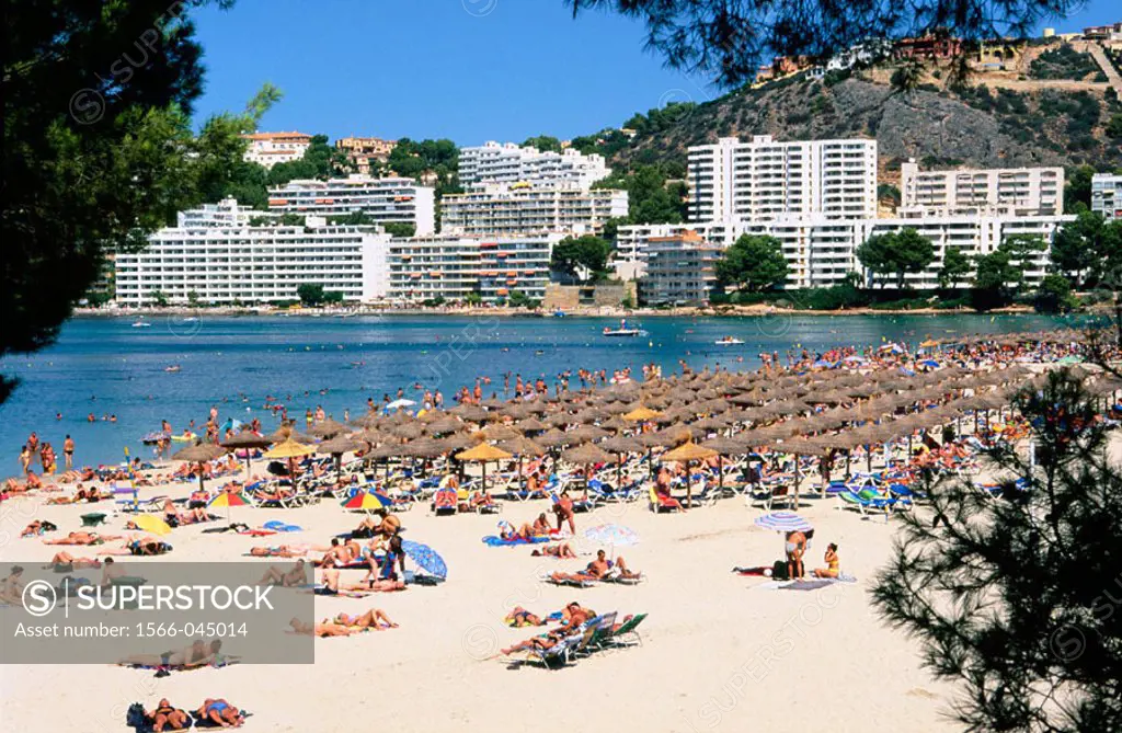 Santa Ponsa beach. Majorca, Balearic Islands. Spain