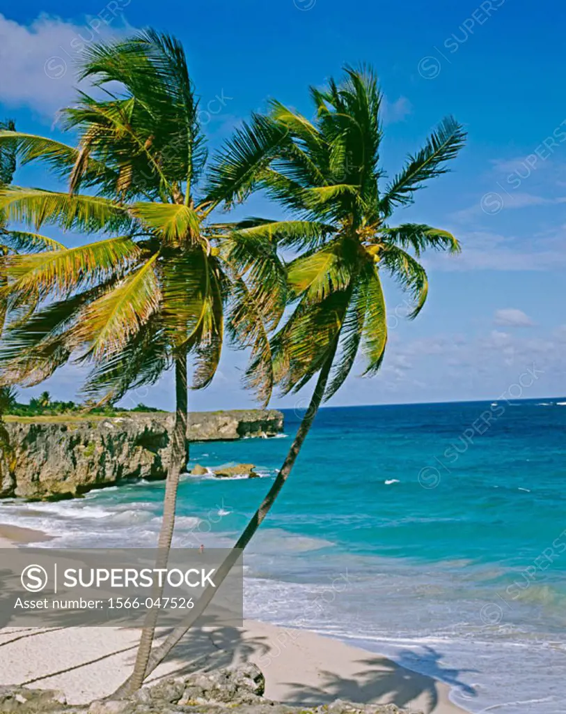 Bottom Bay. Barbados. West Indies