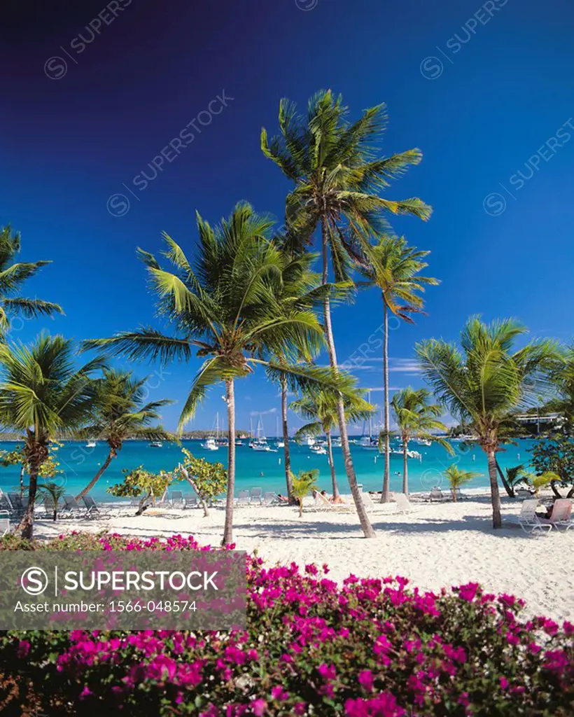 Saint Thomas. U.S. Virgin Islands