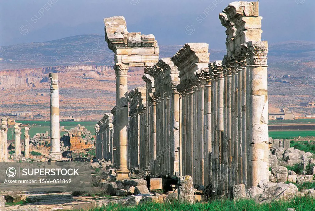 Corinthian columns. Roman city ruins. Apamee. Syria