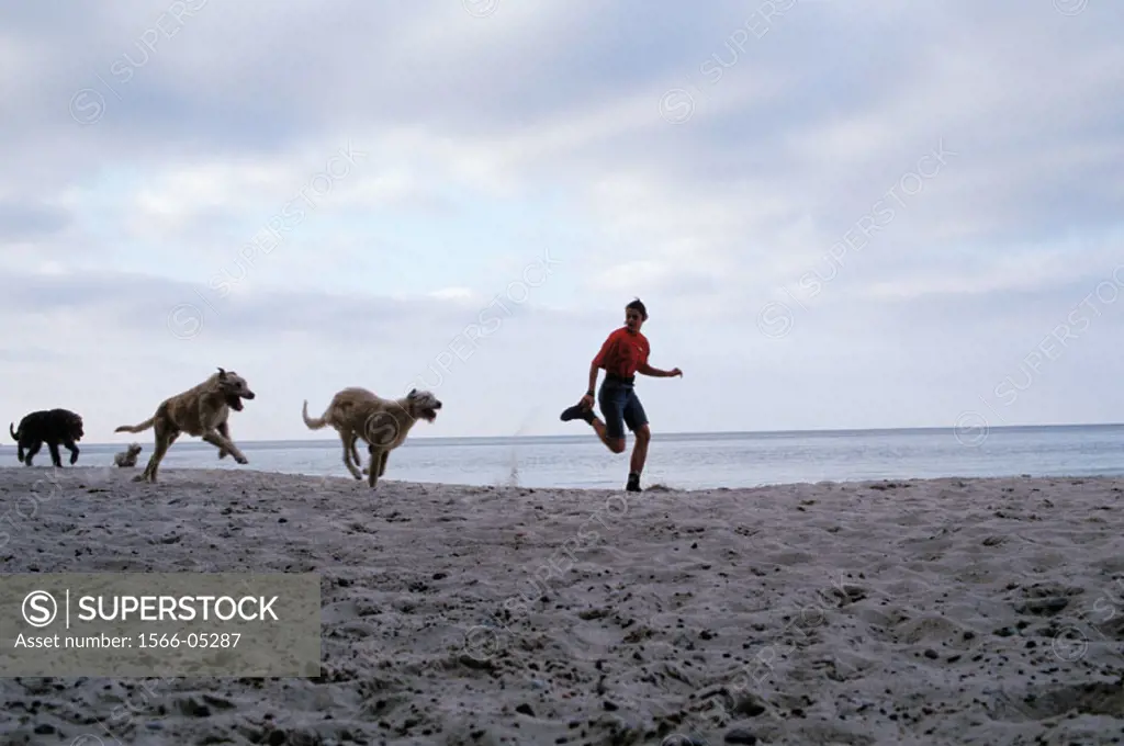 Woman and dogs running on beach