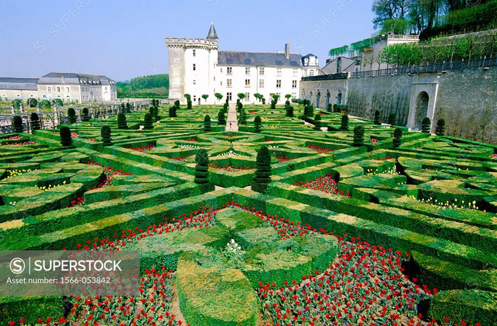 Gardens of Chteau de Villandry. Touraine. Loire Valley. France