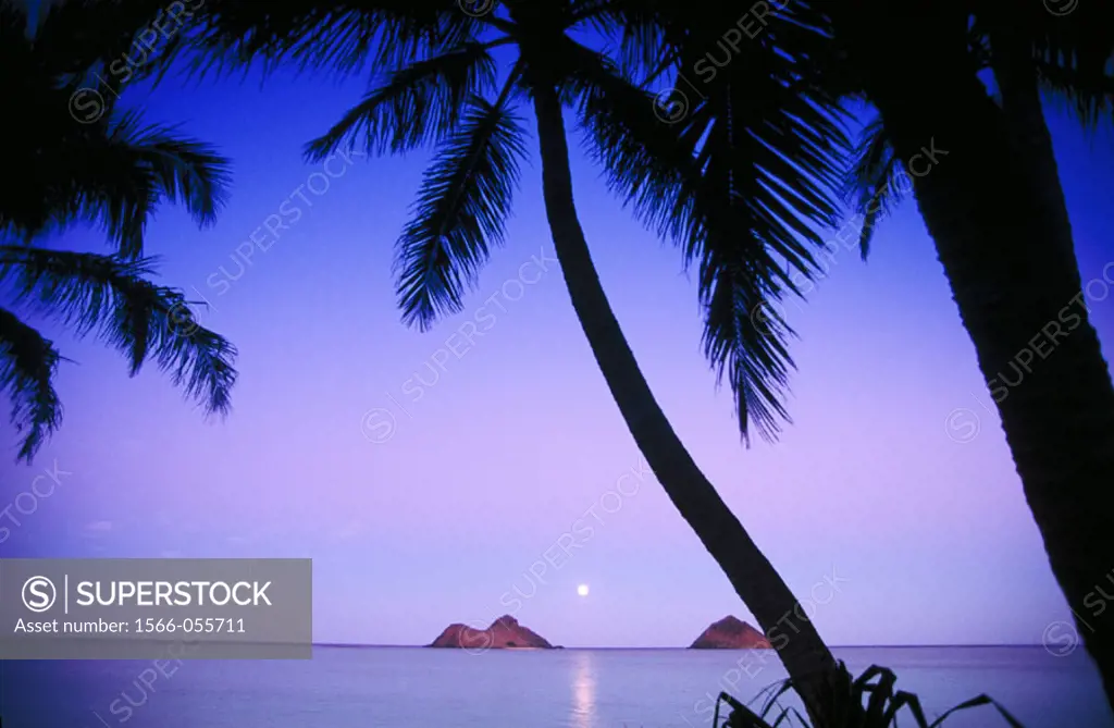 Mokulua Islands, Lanikai Beach, Oahu, Hawaii