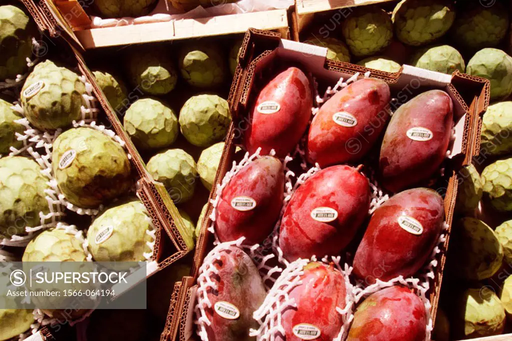 Custard apples and mangoes, tropical fruits from Almuñécar. Costa Tropical, Granada province. Spain
