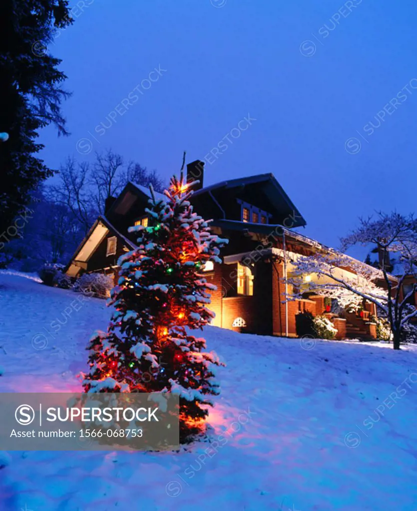 Christmas Tree And House. Brookville Historic District. Pennsylvania. USA
