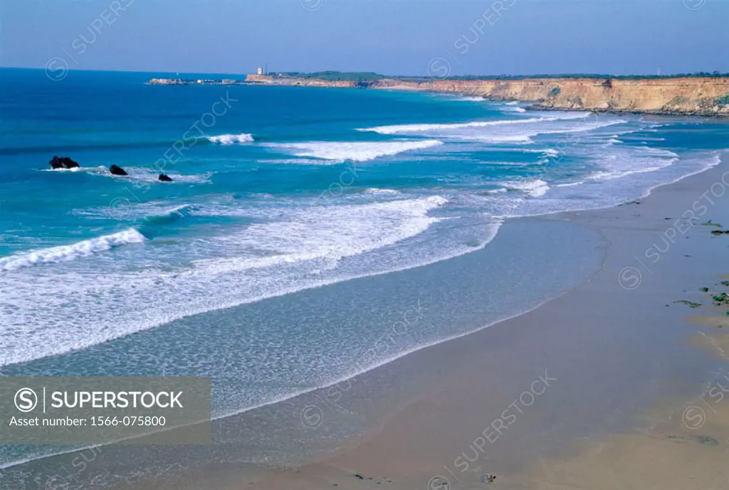 Beach and cliffs near the town of Conil de la Frontera, at Costa de la Luz. Cádiz province. Andalusia. Spain