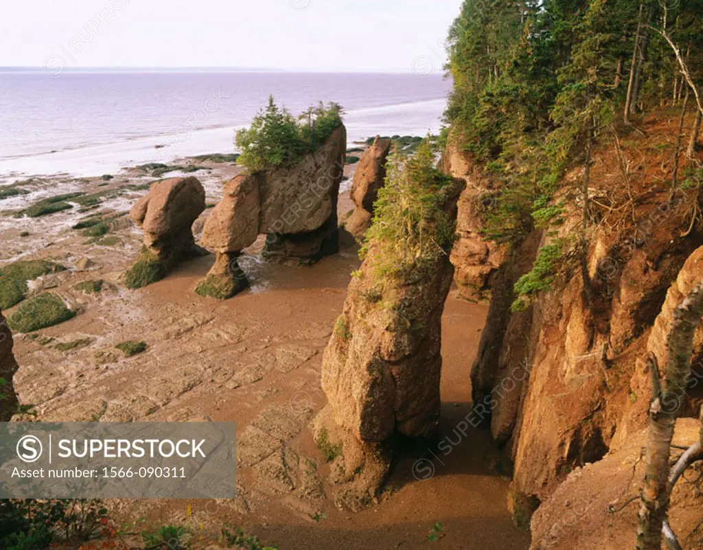 Flowerpot rocks. Hopewell Cape. New Brunswick. Canada