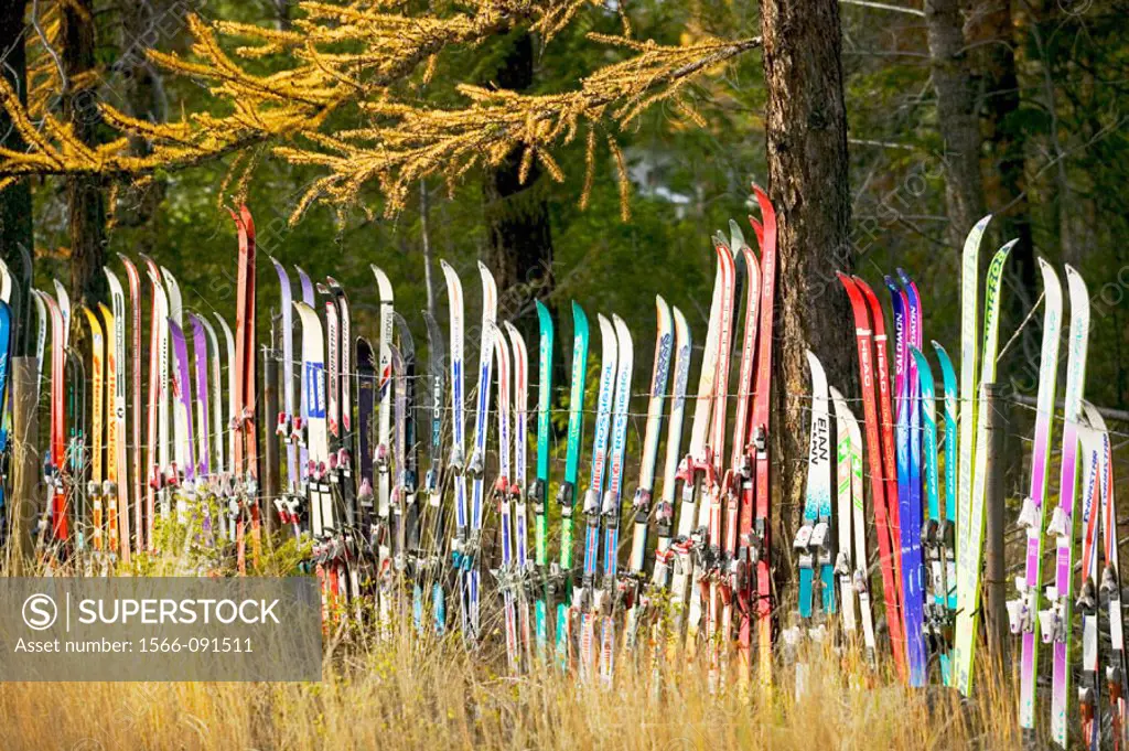Snow fence made from old skis, German themed ski town in autumn. Kimberley. British Columbia, Canada