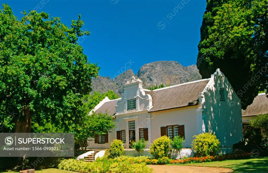 The Wine Route. Stellenbosch. South Africa