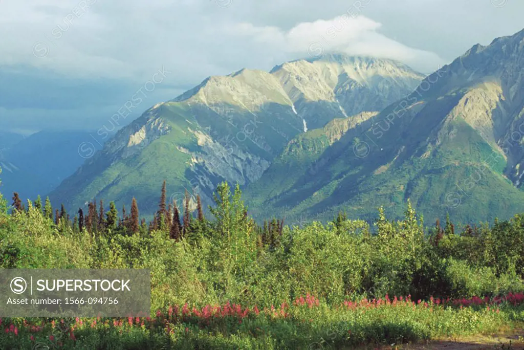 Matanuska Valley. Alaska. USA