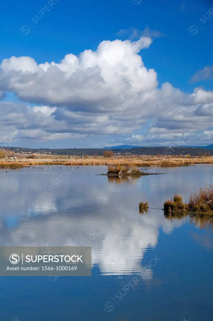 Duck Pond, Modoc National Wildlife Refuge, California