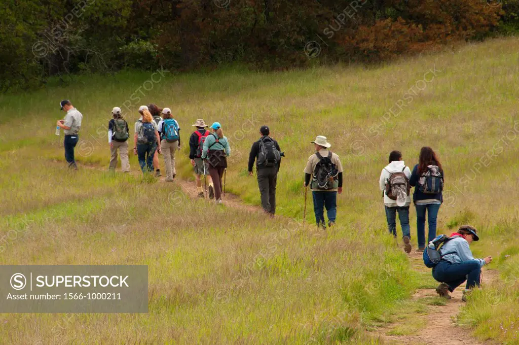Hikers along Coyote Trail, Santa Rosa Plateau Ecological Preserve, California