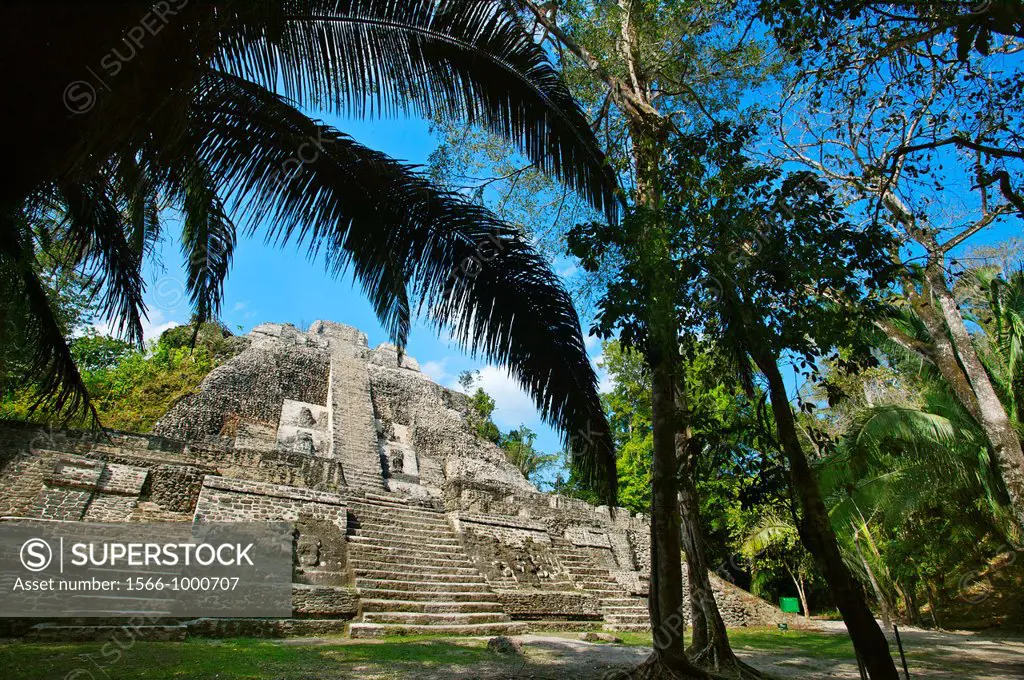 Structure N10-43, also known as El Castillo Maya temple ruins at Lamanai 300BC - 1500AD Lamanai Belize.