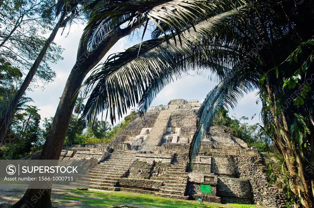 Structure N10-43, also known as El Castillo  Maya temple ruins at Lamanai300BC - 1500AD  Lamanai  Belize.