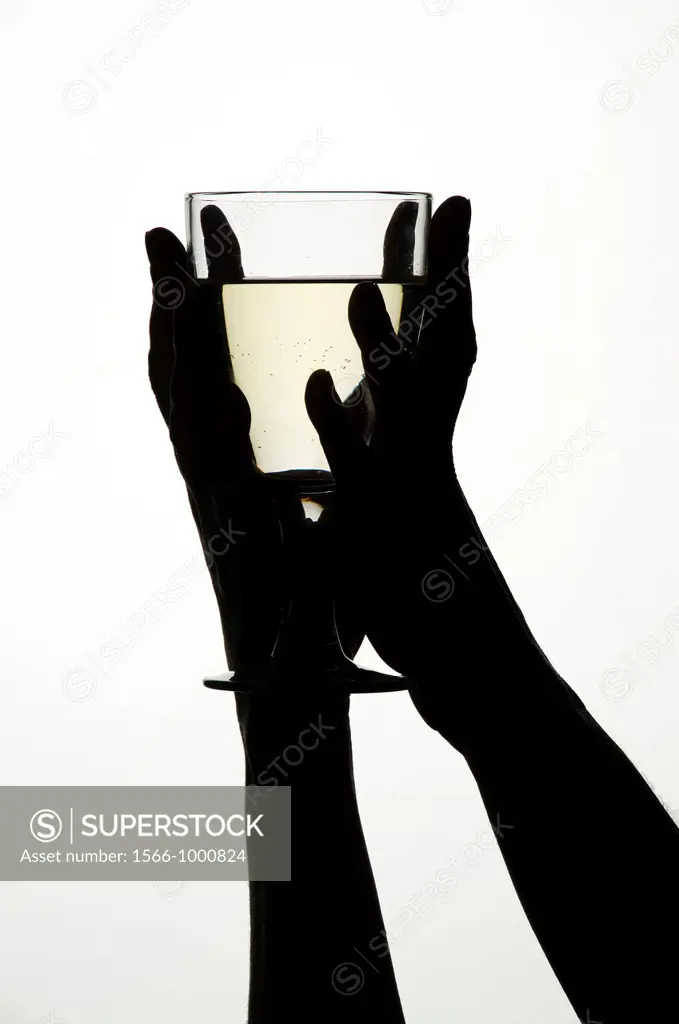 Woman´s hands holding a glass of white wine