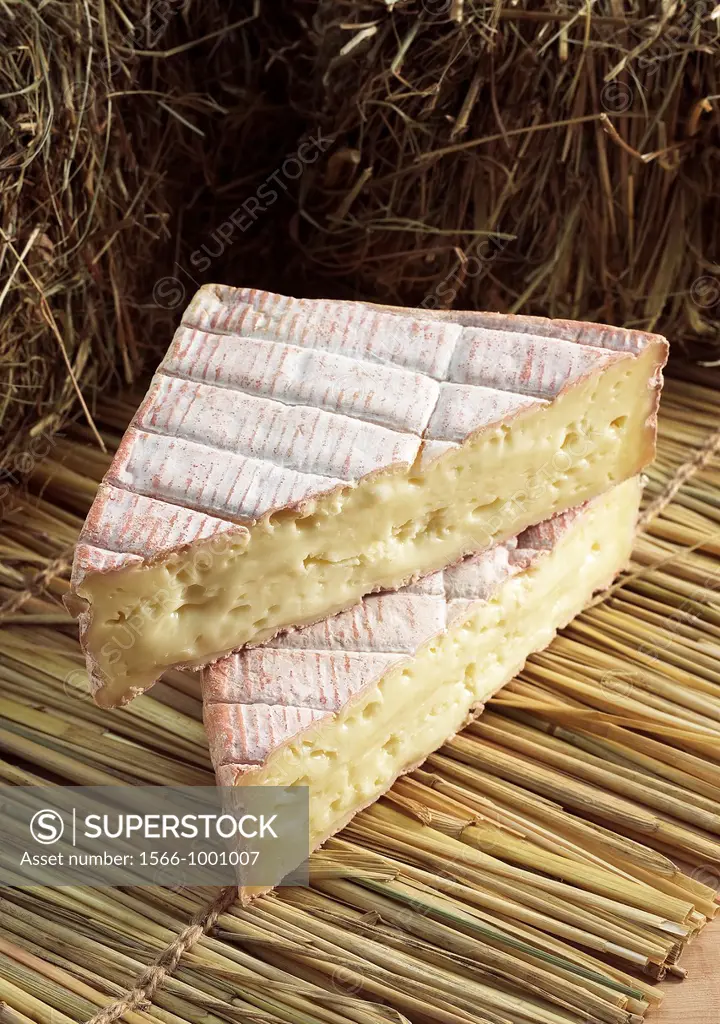 Pont l´Eveque, French Cheese from Normandy produced from Cow´s Milk