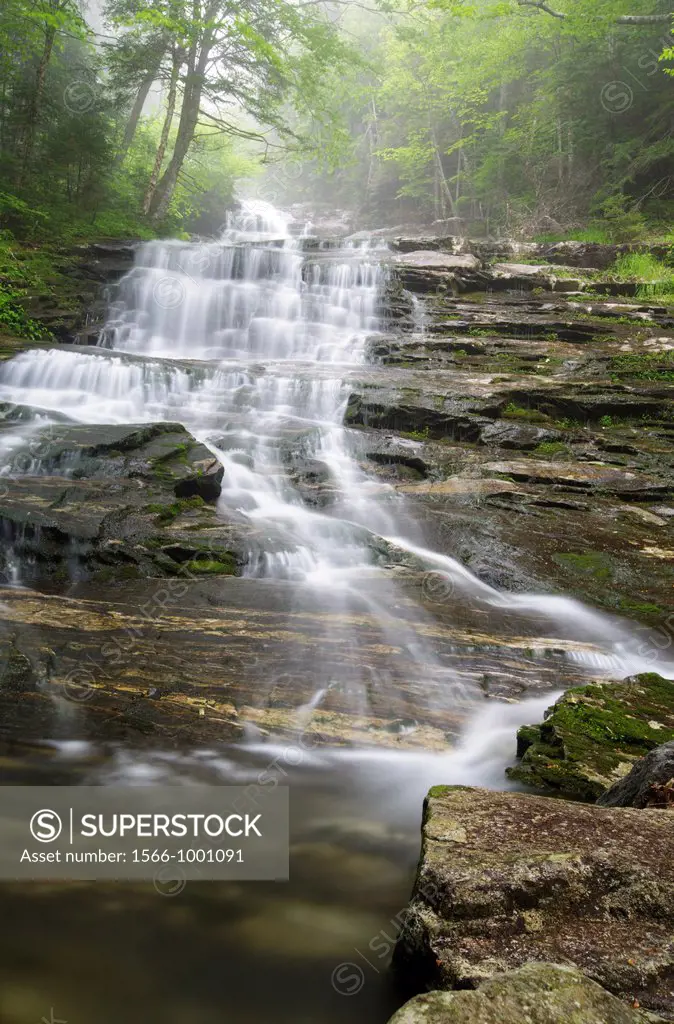Kinsman Notch - Beaver Brook Cascades in foggy conditions during the spring months  These cascades are located along the Appalachian Tail in the White...