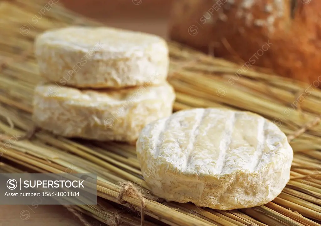 French Cheese Called Saint Marcelin, Cheese produced from Cow´s Milk