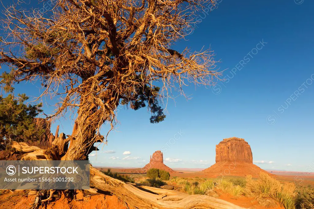 USA, Arizona, Monument Valley Tribal Park, Navajo Indian reservation, desert scenery , East Mitten Butte and Merrick Butte.