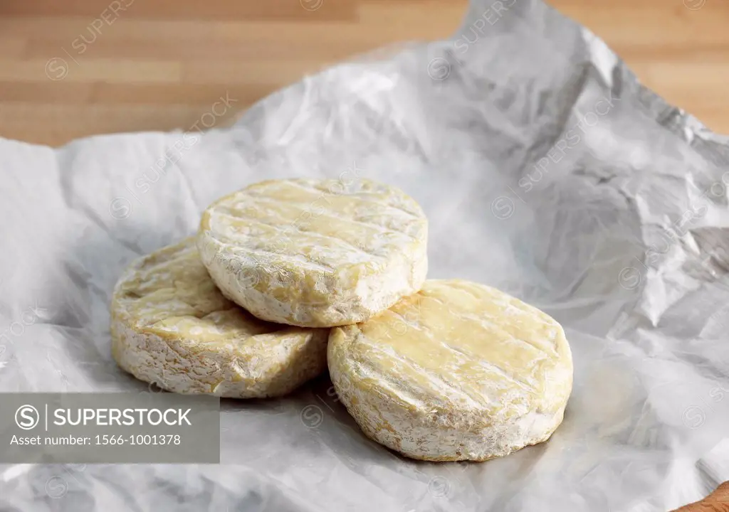 French Cheese Called Saint Marcelin, Cheese produced from Cow´s Milk