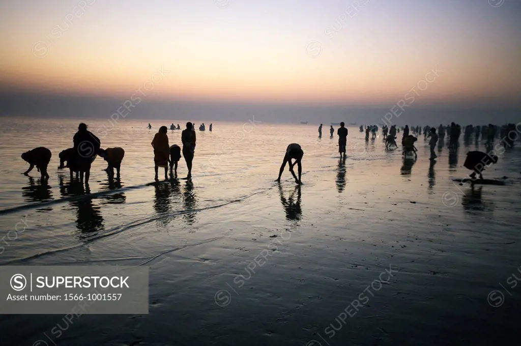 Pilgrims bathing at the confluence of the river Ganges and the Bay of Bengal , Sagar Mela, India, Ganges River.
