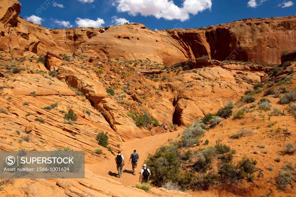 United States, Arizona, Page , Navajo reservation near Page, Secret canyon.